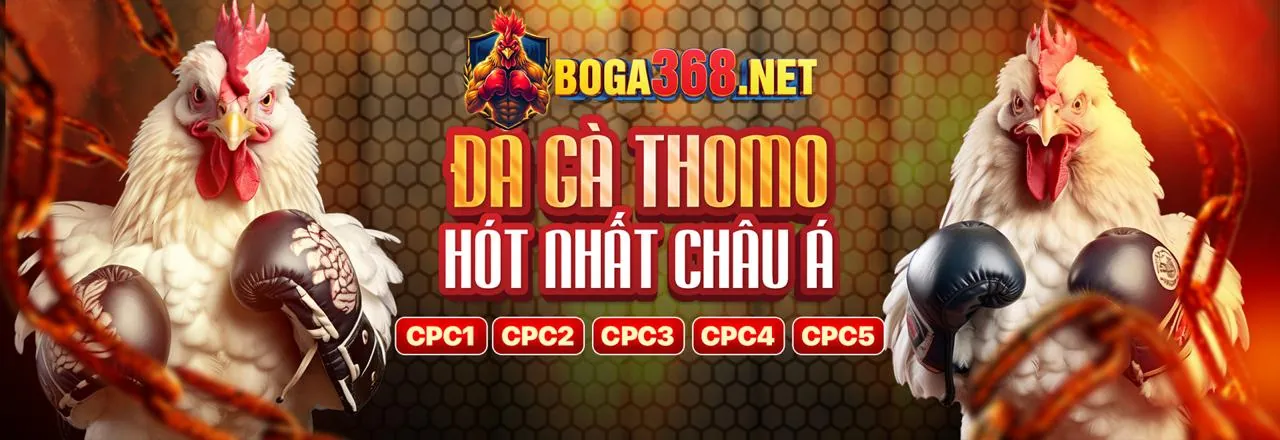 Các cấp độ VIP VN88